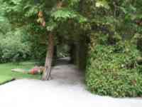 Gravel path through trees with more grave markers visible