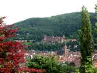 Castle on a mountainside