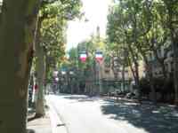 A Lyon street with French flags and little traffic