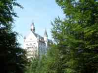 A picture from the Neuschwanstein trip