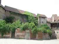 Castle buildings above a wall