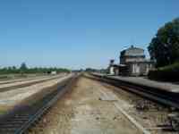 Train tracks between fields and trees