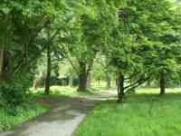 Path by the Blaukanal.