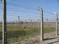 Ruins and many buildings beyond several barbed-wire fences