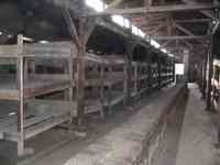 Barracks with numerous wood bunks