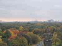 City park with autumn trees