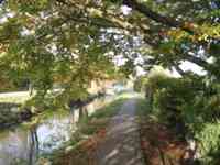 Path along stream