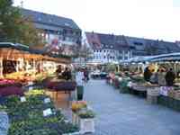 Farmer's market