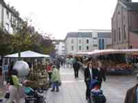 Farmer's market