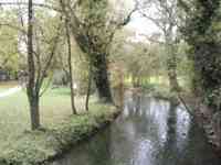 Park on an island in the city