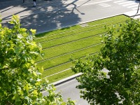 Train tracks and grass