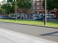 Train tracks and grass