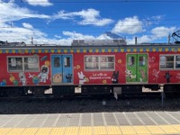 Decorated Fujikyu Railway cars