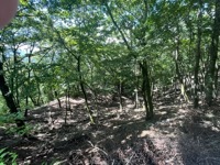 On trail to Mount Mitsutoge