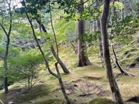 Ginkaku-ji (Silver Pavilion)