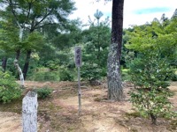 Kinkakujji-mae (Golden Pavilion)