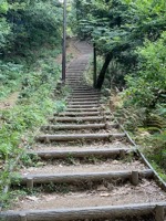 Near Sagano Bamboo Forest