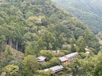 Near Sagano Bamboo Forest