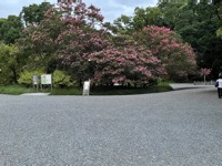 Kyoto Imperial Palace