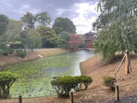 Byodo-in