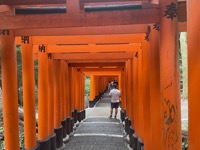 Fushimi Inari-taisha