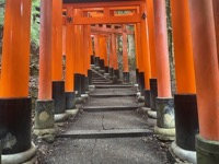 Fushimi Inari-taisha