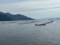 Ferry to Miyajima