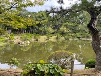 Shukkei-en Garden