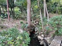 Shukkei-en Garden