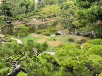 Shukkei-en Garden