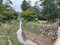 Izumo Taisha Shrine