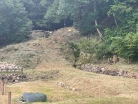 Tottori Castle ruins