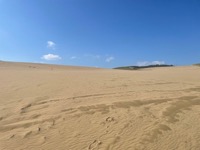 Tottori Sand Dunes