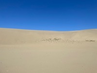 Tottori Sand Dunes