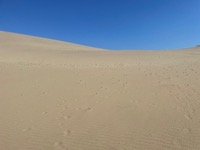 Tottori Sand Dunes