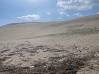 Tottori Sand Dunes