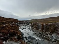 Taranaki Falls Track