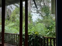 Kuranda Rainforest View Restaurant